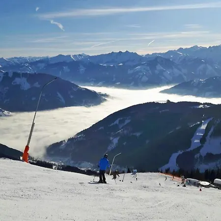 Almliesl Zell-448 * 젤암제