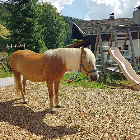 Apartament Almliesl Zell-448 *