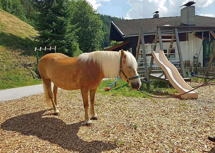 Apartment Almliesl Zell-448 *