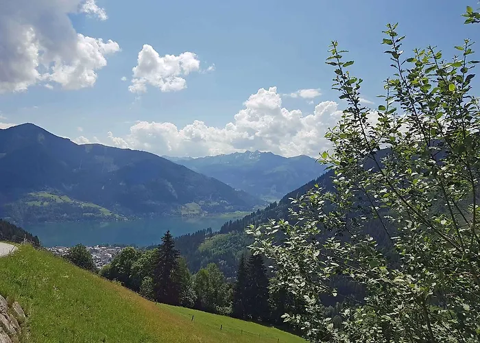 Almliesl Zell-448 Zell am See