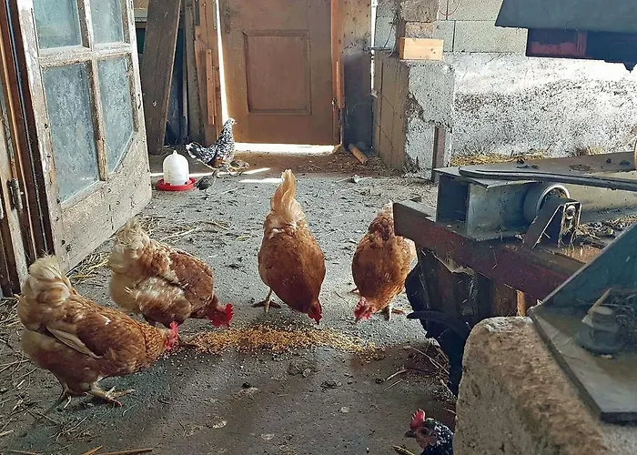 아파트 Almliesl Zell-448 *